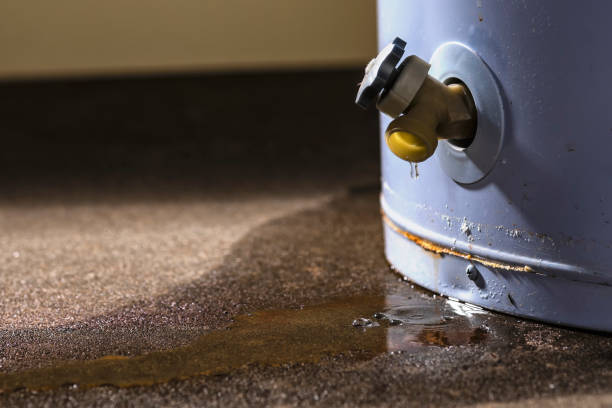 Best Water damage restoration specialists  in Lexington, MI