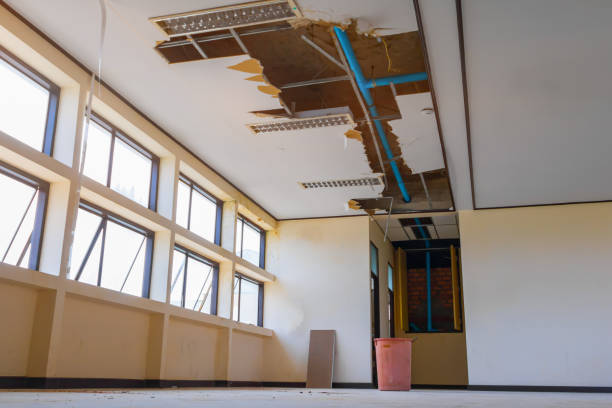 Best Professional water damage repair  in Lexington, MI