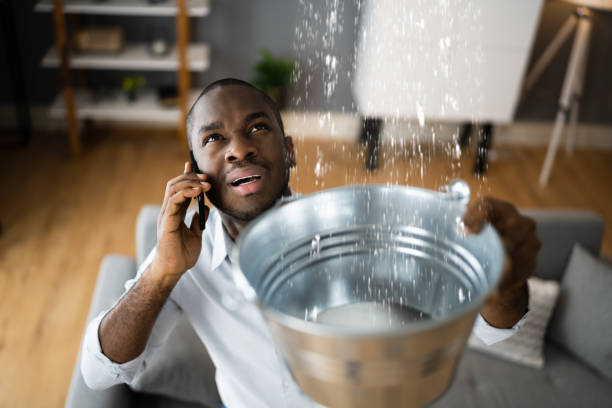 Best Sewage cleanup and water damage restoration  in Lexington, MI