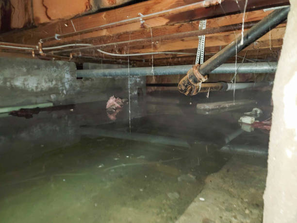 Best Commercial water damage restoration  in Lexington, MI