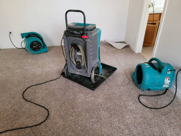 Best Water damage restoration insurance claims  in Lexington, MI