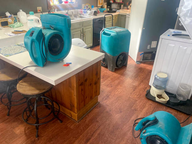 Best Water damage contractors near me  in Lexington, MI