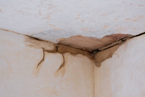 Best Flood damage cleanup  in Lexington, MI