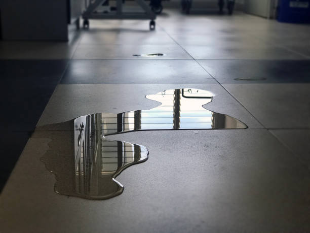 Best Water damage restoration cost  in Lexington, MI