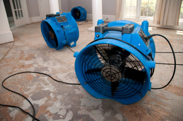 Best Flood damage cleanup  in Lexington, MI