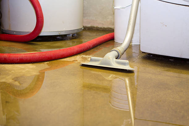 Best Flooded house restoration  in Lexington, MI