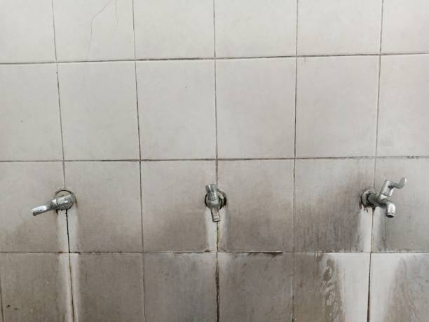 Best Water damage restoration experts  in Lexington, MI