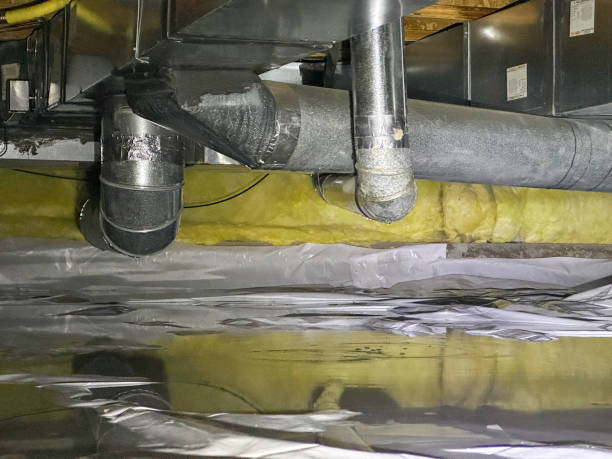Best Flood restoration services  in Lexington, MI